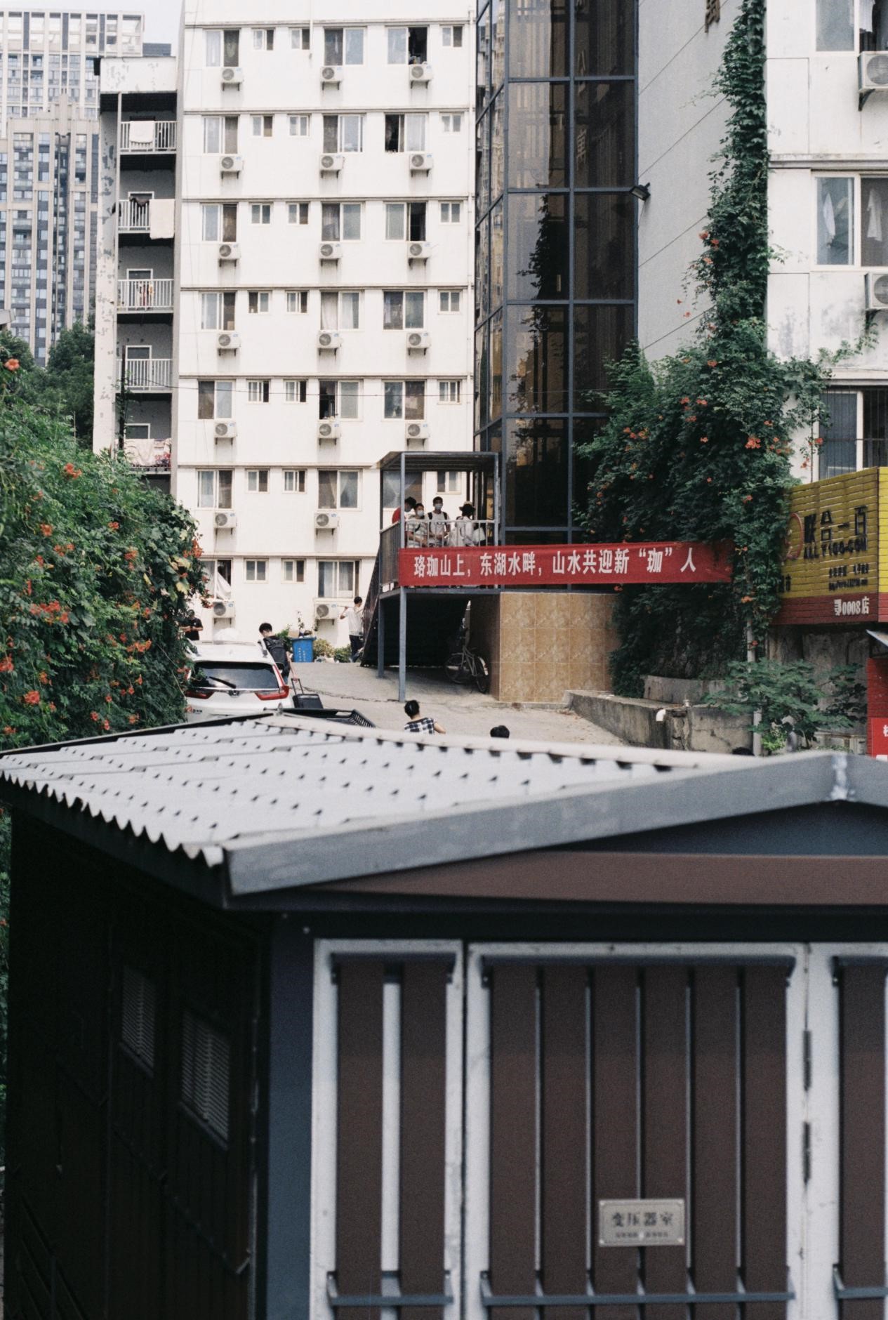 问鼎娱乐